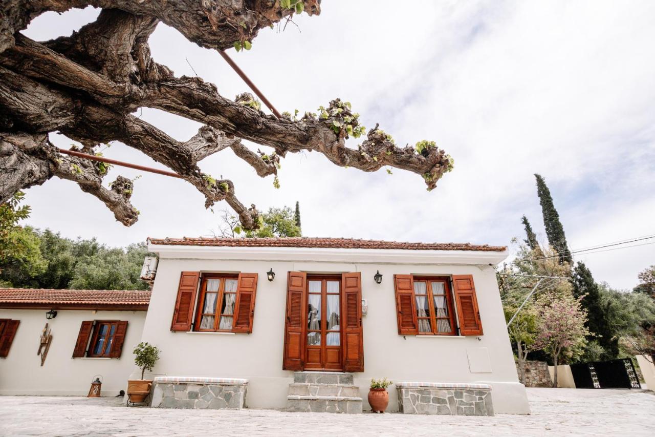 Kymanemi Zakynthos Cottage House Áno Yerakaríon 外观 照片