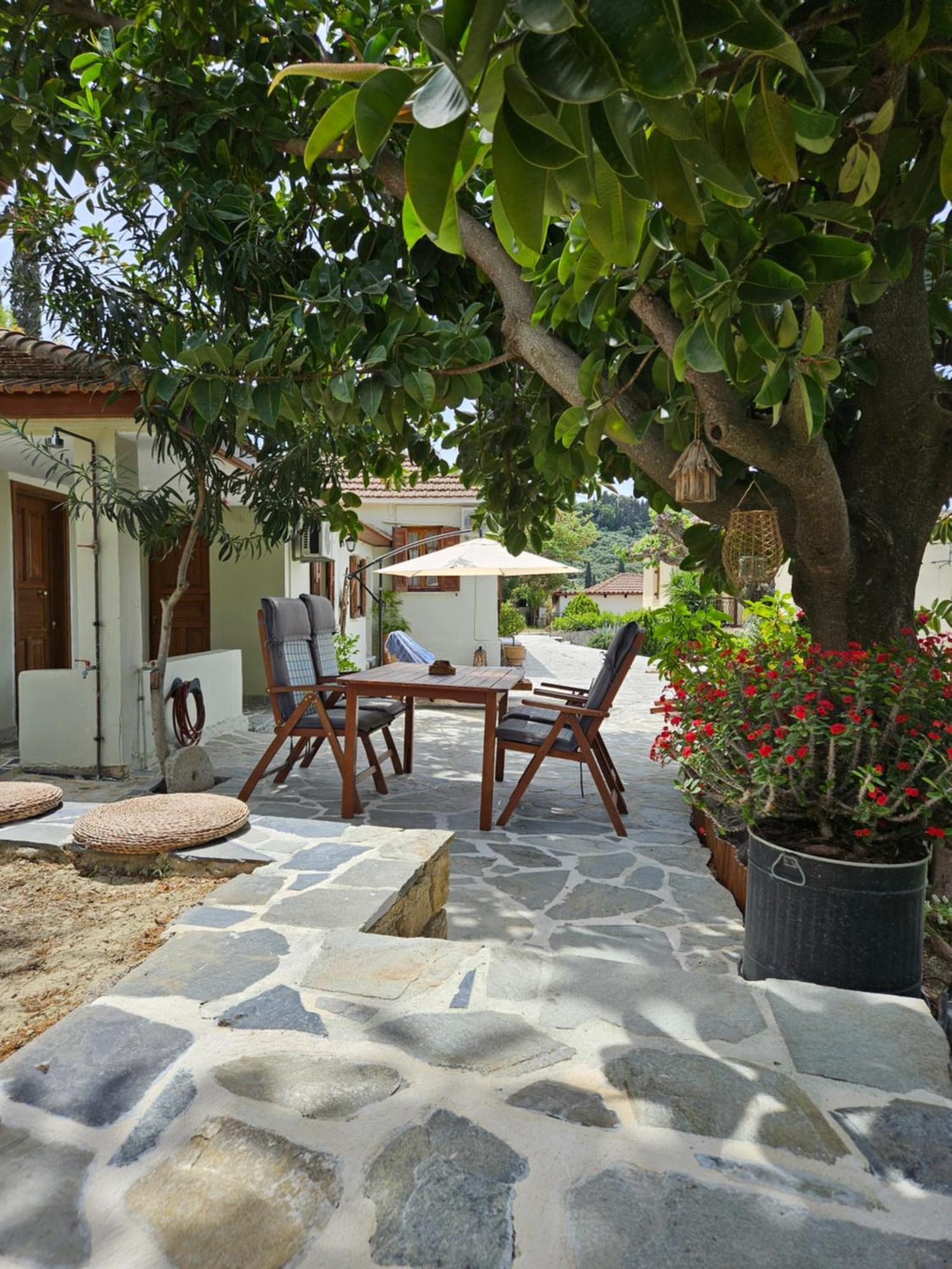 Kymanemi Zakynthos Cottage House Áno Yerakaríon 外观 照片