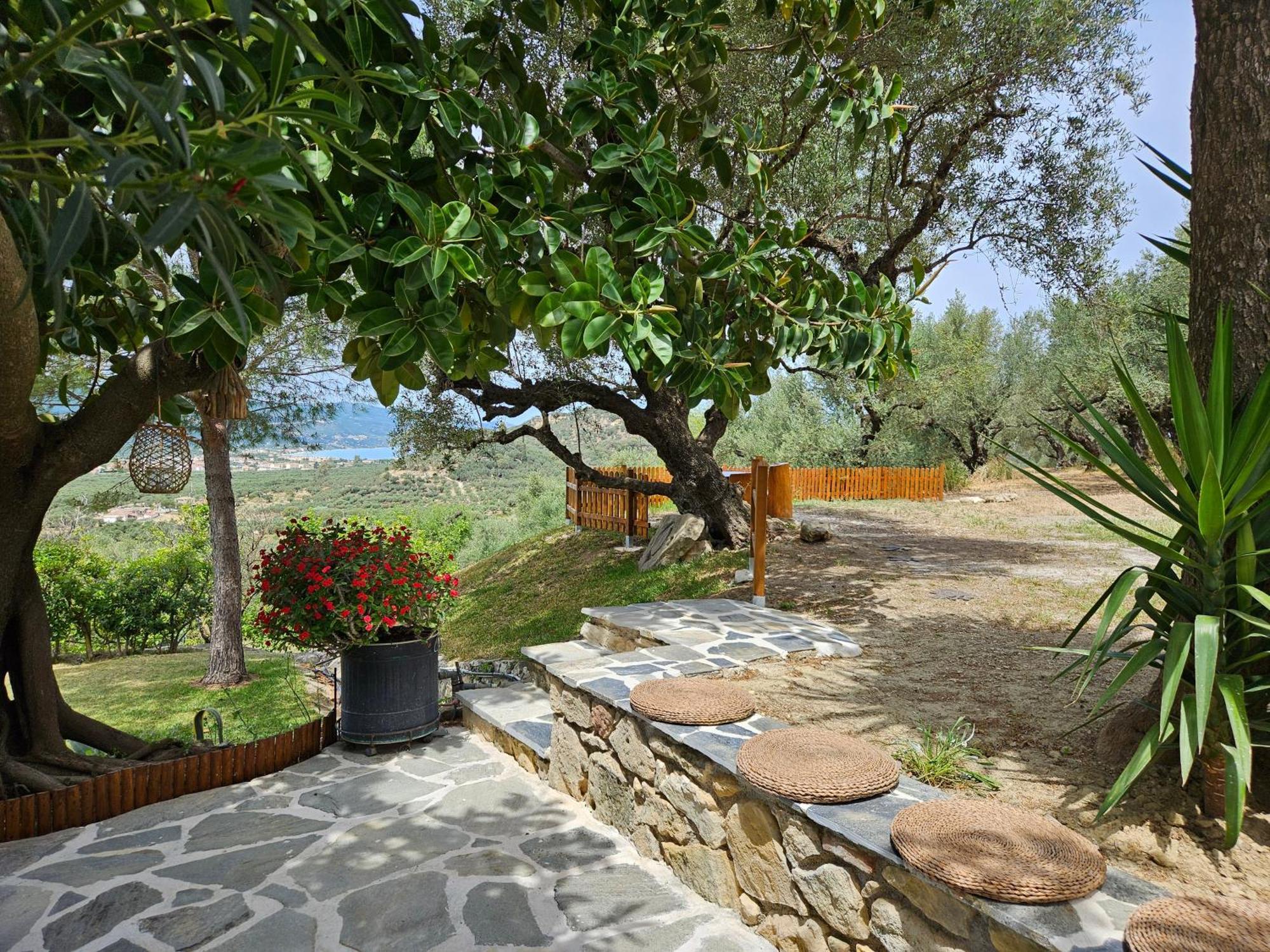 Kymanemi Zakynthos Cottage House Áno Yerakaríon 外观 照片